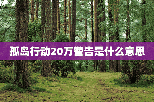 孤岛行动20万警告是什么意思(孤岛行动20万警告是什么意思啊)